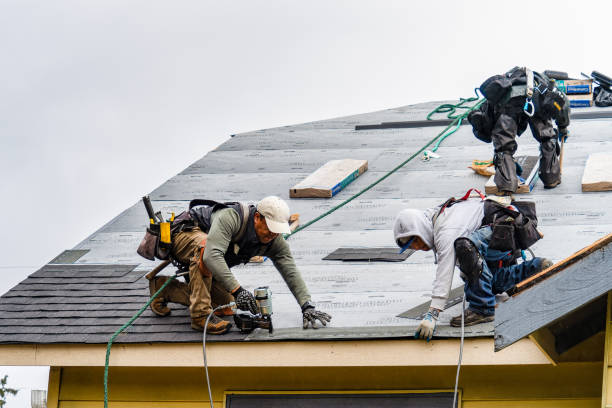Professional Storm Damage Roof Repair technician working in Lily, KY